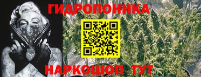 гидропоника Кунгур