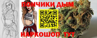 гашик Новозыбков