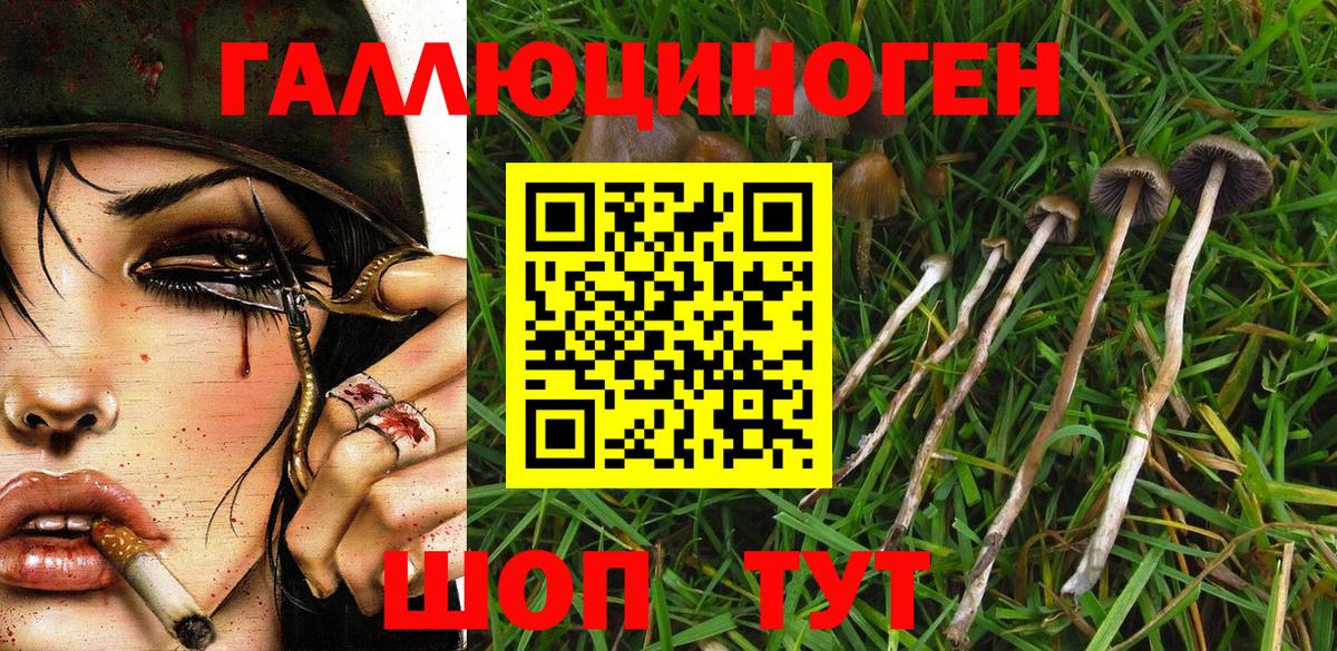Псилоцибиновые грибы MAGIC MUSHROOMS  Вход с VPN  Шебекино 