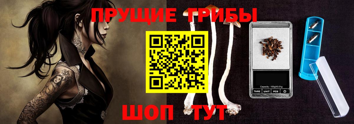 Псилоцибиновые грибы GOLDEN TEACHER Шебекино